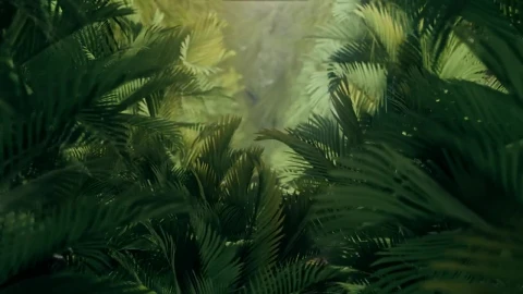 Stock Video Exploring The Jungle Among Plants And Palm Trees Live Wallpaper For PC - Free Live Wallpaper