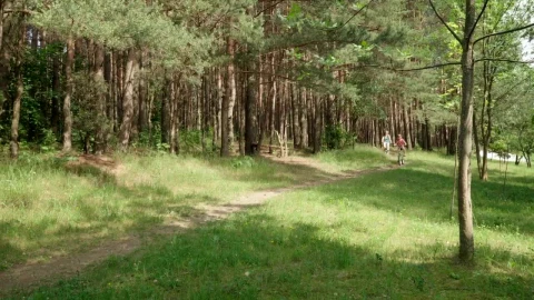 Stock Video Exploring A Forest On Bicycles Live Wallpaper For PC - Free Live Wallpaper