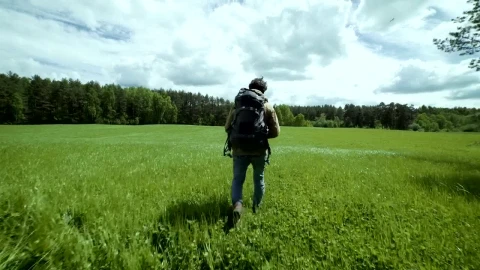 Stock Video Explorer Walking In A Green Meadow Live Wallpaper For PC - Free Live Wallpaper