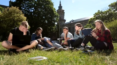 Stock Video Exhausted Classmates Studying In A School Garden Live Wallpaper For PC - Free Live Wallpaper