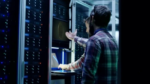 Stock Video Excited Engineers In Bitcoin Mining Farm Live Wallpaper For PC - Free Live Wallpaper