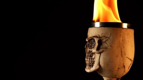 Stock Video Evil Skull Shaped Bone Cup With Fire Live Wallpaper For PC - Free Live Wallpaper