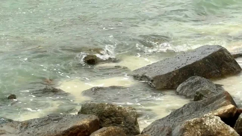 Stock Video Eroded Rocks By The Ocean Live Wallpaper For PC - Free Live Wallpaper