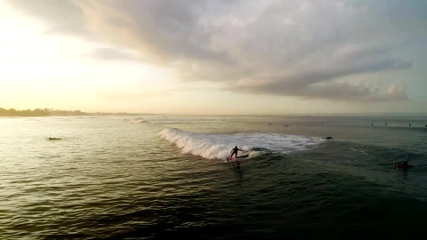 Stock Video Epic Aerial Shot Of A Female Surfer On The Waves Live Wallpaper For PC - Free Live Wallpaper