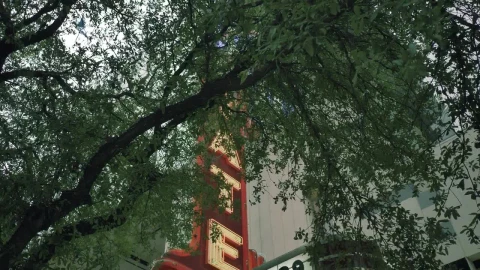 Stock Video Entrance Of A Theater With A Sign And A Marquee Live Wallpaper For PC - Free Live Wallpaper