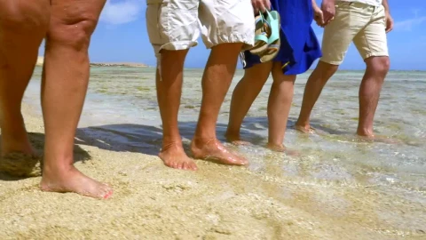 Stock Video Enjoying Warm Weather As A Family Live Wallpaper For PC - Free Live Wallpaper