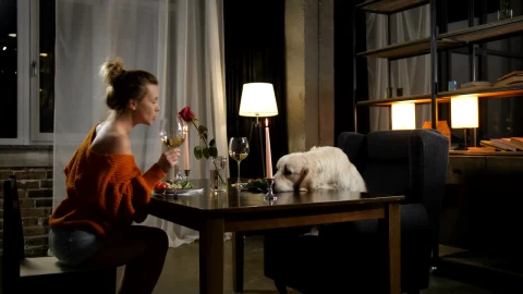 Stock Video Enjoying A Glass Of Wine With Her Dog Live Wallpaper For PC - Free Live Wallpaper