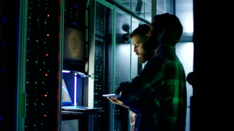 Stock Video Engineer Setting Bitcoin Mining Farm Live Wallpaper For PC - Free Live Wallpaper