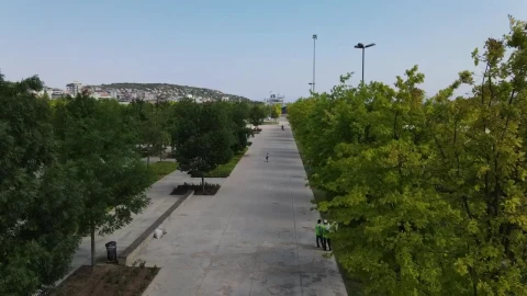 Stock Video Empty Path In A Park During A Sunny Day Live Wallpaper For PC - Free Live Wallpaper