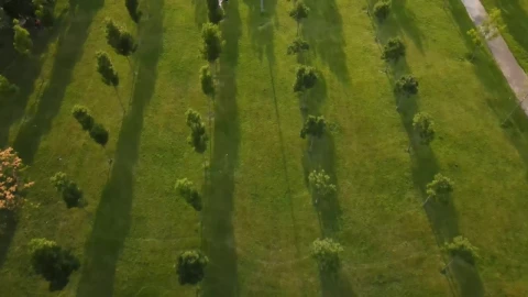 Stock Video Empty Park After Coronavirus Pandemic Live Wallpaper For PC - Free Live Wallpaper