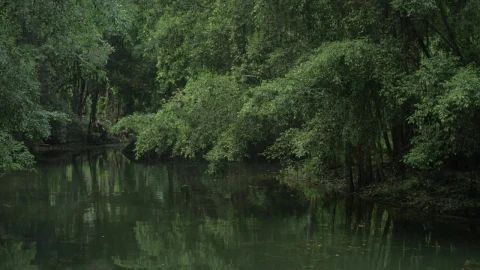 Stock Video Empty Boat On A River In Vietnam Live Wallpaper For PC - Free Live Wallpaper