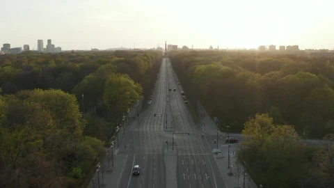 Stock Video Empty Avenue Surrounded By Trees Live Wallpaper For PC - Free Live Wallpaper
