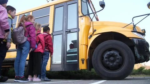 Stock Video Elementary Kids Boarding The Bus Live Wallpaper For PC - Free Live Wallpaper
