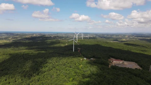 Stock Video Electricity Production Field With Wind Turbines Live Wallpaper For PC - Free Live Wallpaper