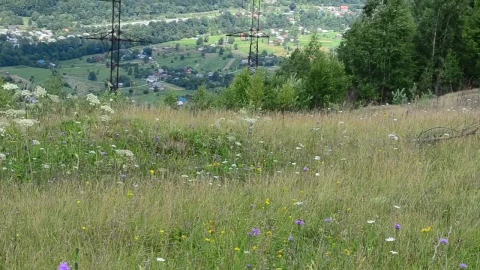 Stock Video Electrical Wiring Towers In The Countryside Live Wallpaper For PC - Free Live Wallpaper