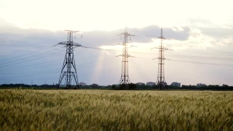 Stock Video Electric Towers In A Wheat Field Live Wallpaper For PC - Free Live Wallpaper