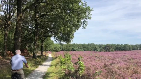 Stock Video Elderly Couple Cycling Through A Flower Field Live Wallpaper For PC - Free Live Wallpaper