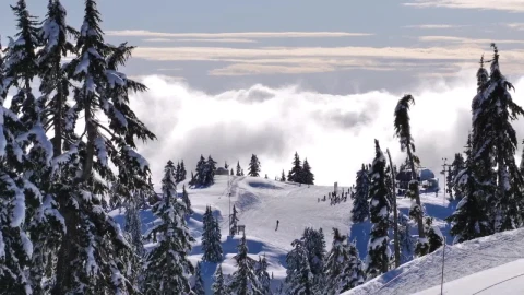 Stock Video Edge View Of The Top Of A Mountain Live Wallpaper For PC - Free Live Wallpaper
