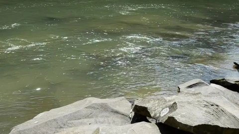 Stock Video Edge Of A Slow Moving River Live Wallpaper For PC - Free Live Wallpaper