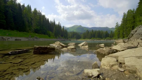 Stock Video Edge Of A Lake In The Woods In The Mountains Live Wallpaper For PC - Free Live Wallpaper