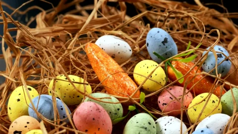 Stock Video Easter Decoration Close Up Live Wallpaper For PC - Free Live Wallpaper