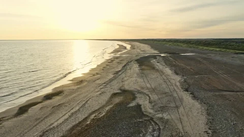 Stock Video Early Morning At The Beach Live Wallpaper For PC - Free Live Wallpaper