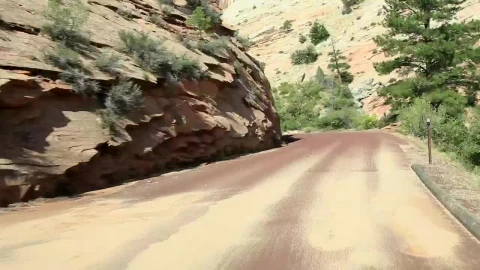 Stock Video Dusty Roads Through A National Park Live Wallpaper For PC - Free Live Wallpaper
