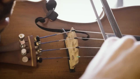 Stock Video Dust Off Violin Live Wallpaper For PC - Free Live Wallpaper