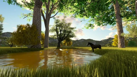 Stock Video Ducks And A Horse On A Lake In The Forest Live Wallpaper For PC - Free Live Wallpaper