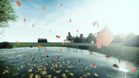 Stock Video Dry Tree Leaves Falling Into The Water From A Pond Live Wallpaper For PC - Free Live Wallpaper