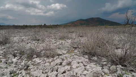 Stock Video Dry Lake Soil Live Wallpaper For PC - Free Live Wallpaper