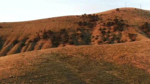 Stock Video Dry Hills And Trees Live Wallpaper For PC - Free Live Wallpaper