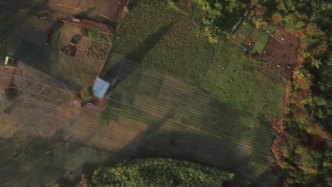 Stock Video Dry Farmland And Buildings Live Wallpaper For PC - Free Live Wallpaper