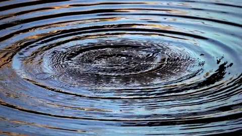 Stock Video Drops Of Water In The Pond Live Wallpaper For PC - Free Live Wallpaper