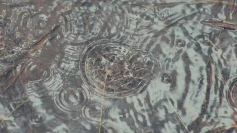 Stock Video Drops Of Water Falling In A Puddle Live Wallpaper For PC - Free Live Wallpaper