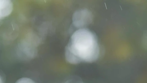 Stock Video Drops Of Rainwater Live Wallpaper For PC - Free Live Wallpaper