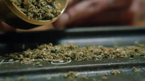 Stock Video Dropping Weed From A Grinder Live Wallpaper For PC - Free Live Wallpaper