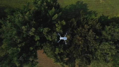 Stock Video Drone View Over Trees Live Wallpaper For PC - Free Live Wallpaper