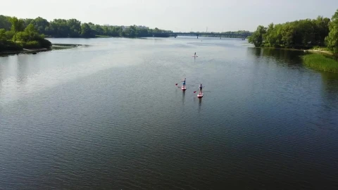 Stock Video Drone View Of Paddle Boarders On River Live Wallpaper For PC - Free Live Wallpaper