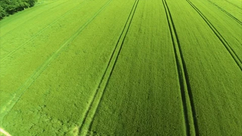 Stock Video Drone Over Farmland Live Wallpaper For PC - Free Live Wallpaper