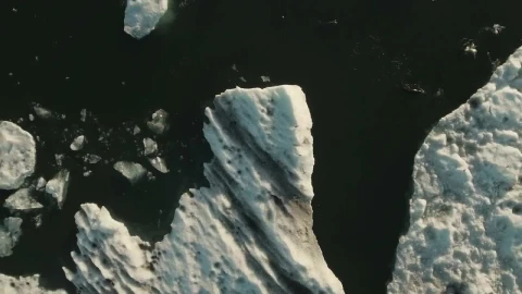 Stock Video Drone Following Sea Birds Live Wallpaper For PC - Free Live Wallpaper
