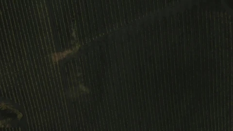 Stock Video Drone Following A Field Live Wallpaper For PC - Free Live Wallpaper