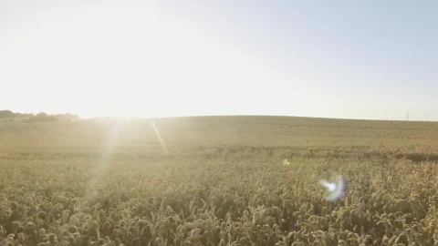 Stock Video Drone Flying Over The Countryside Live Wallpaper For PC - Free Live Wallpaper