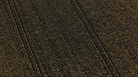 Stock Video Drone Flying Over Large Fields Live Wallpaper For PC - Free Live Wallpaper