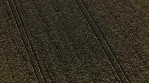 Stock Video Drone Flying Over Large Fields  Smal Live Wallpaper For PC - Free Live Wallpaper