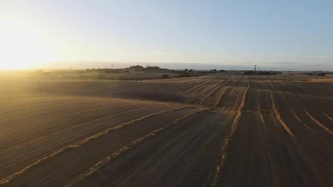 Stock Video Drone Flying Over Harvested Fieds Live Wallpaper For PC - Free Live Wallpaper