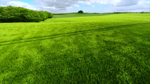 Stock Video Drone Flying Over Grasslands Live Wallpaper For PC - Free Live Wallpaper