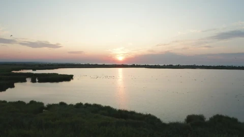 Stock Video Drone Flying Over Flooded Fields Live Wallpaper For PC - Free Live Wallpaper