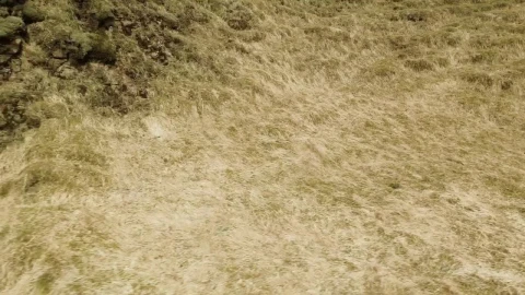 Stock Video Drone Flying Over A Stream Live Wallpaper For PC - Free Live Wallpaper