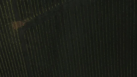 Stock Video Drone Flying Over A Field Live Wallpaper For PC - Free Live Wallpaper